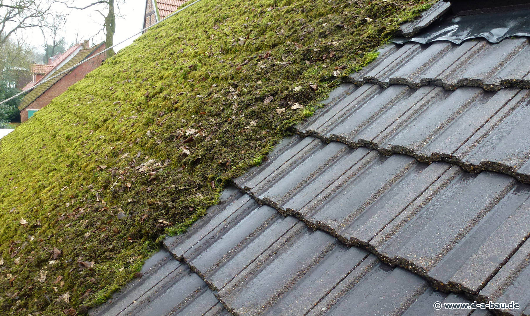 Nettoyage et démoussage de toiture à Vernon 27