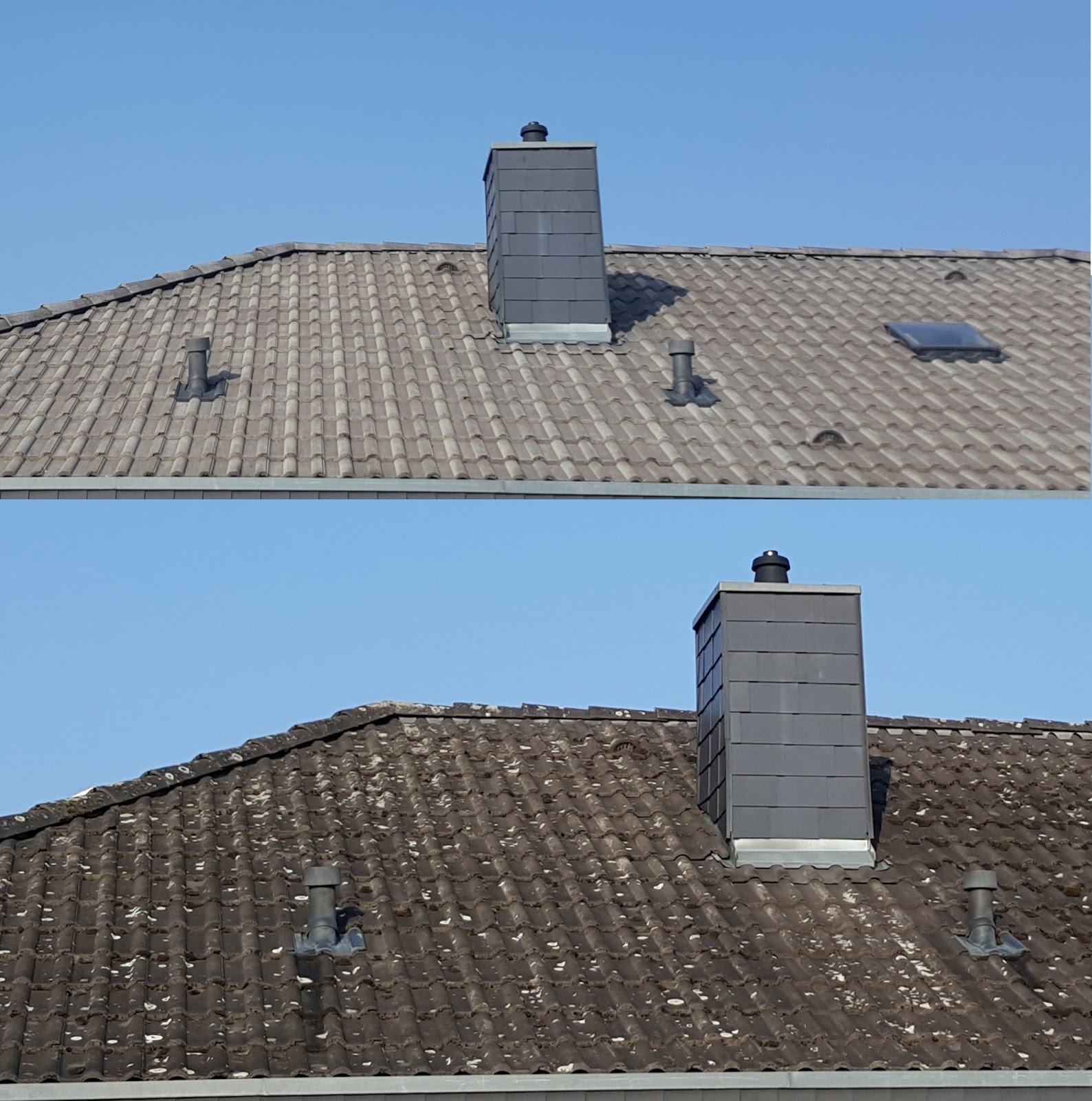 Nettoyage et démoussage de toiture à Vernon 